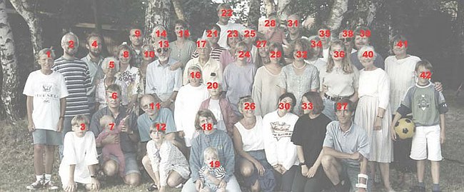 Gren1-1994-forklaring